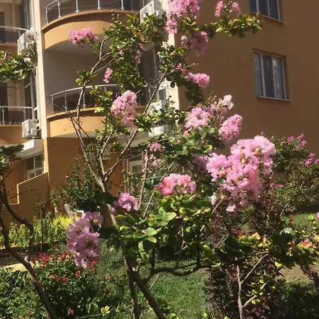 Улица Болгария, Дом 11 Pomorie